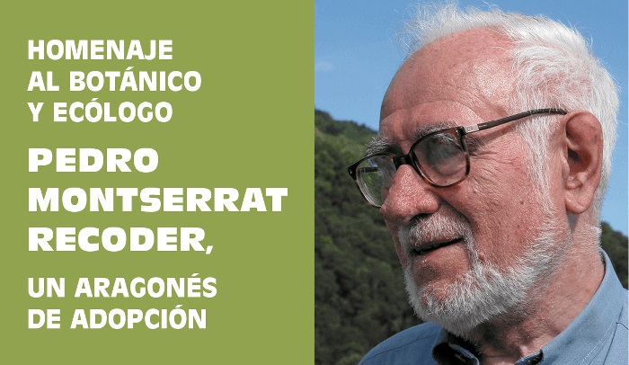 AD PETENDAM  PLUVIAM dirigido por CORAL PASTOR